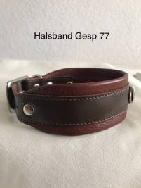 Halsband Gesp 77