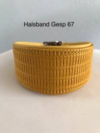 Halsband 67 - gesp
